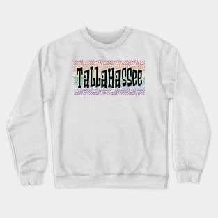 LGBTQ PRIDE EQUAL USA TALLAHASSEE Crewneck Sweatshirt